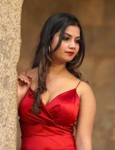 call girl service in Nehru Colony